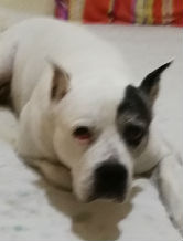 Jogador: fabiovillani