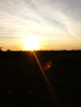 negojose0909