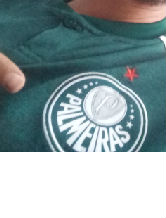vtrbernardes