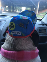 belpug