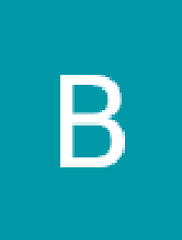 brunofsanta1