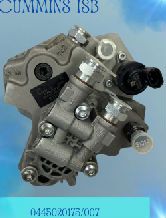 Giocatore: darlynsbergi