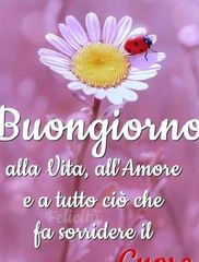 Jugador: monicacurzi