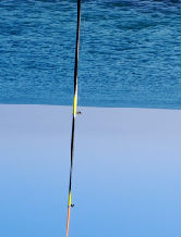 Joueur: stefanocifer