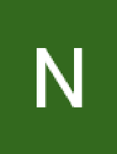 nelsonsilvj