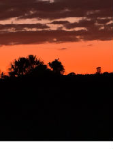 Jogador: margarida32