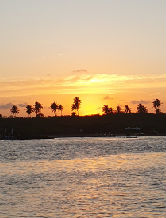 Player: 0c1ea41a2288