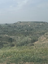 anaisabe1937