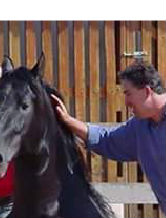 Giocatore: maximusplay