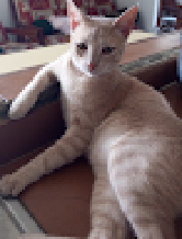 yegu