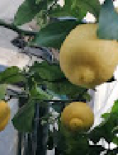 mietta62b312