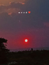maralii