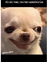 Player: eduardon0394