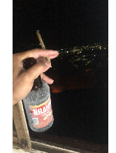 fldotrem