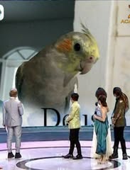 adaomateus