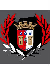 253braga