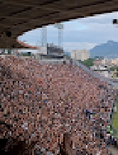 nverbalhub75