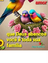 Player: negamaluka00