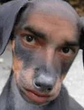 rogersssoi