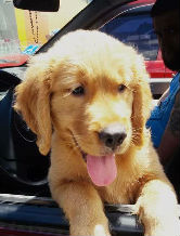 13hachi13