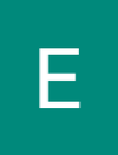 elizetecard2